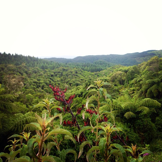 New Zealand